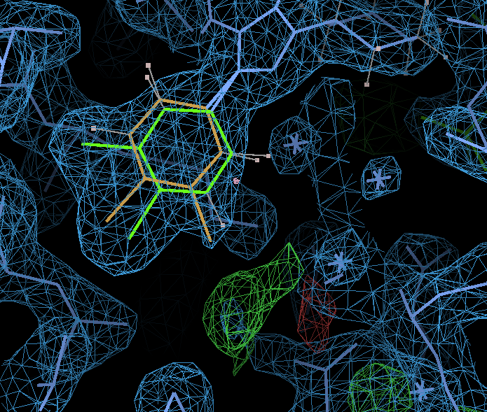 1pmq_04_ab_cation_two_alts-coot-ligand-alts.png